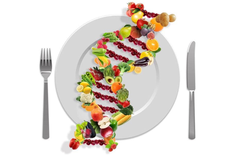 Food is Information: Nutrigenomics and Nutrigenetics 