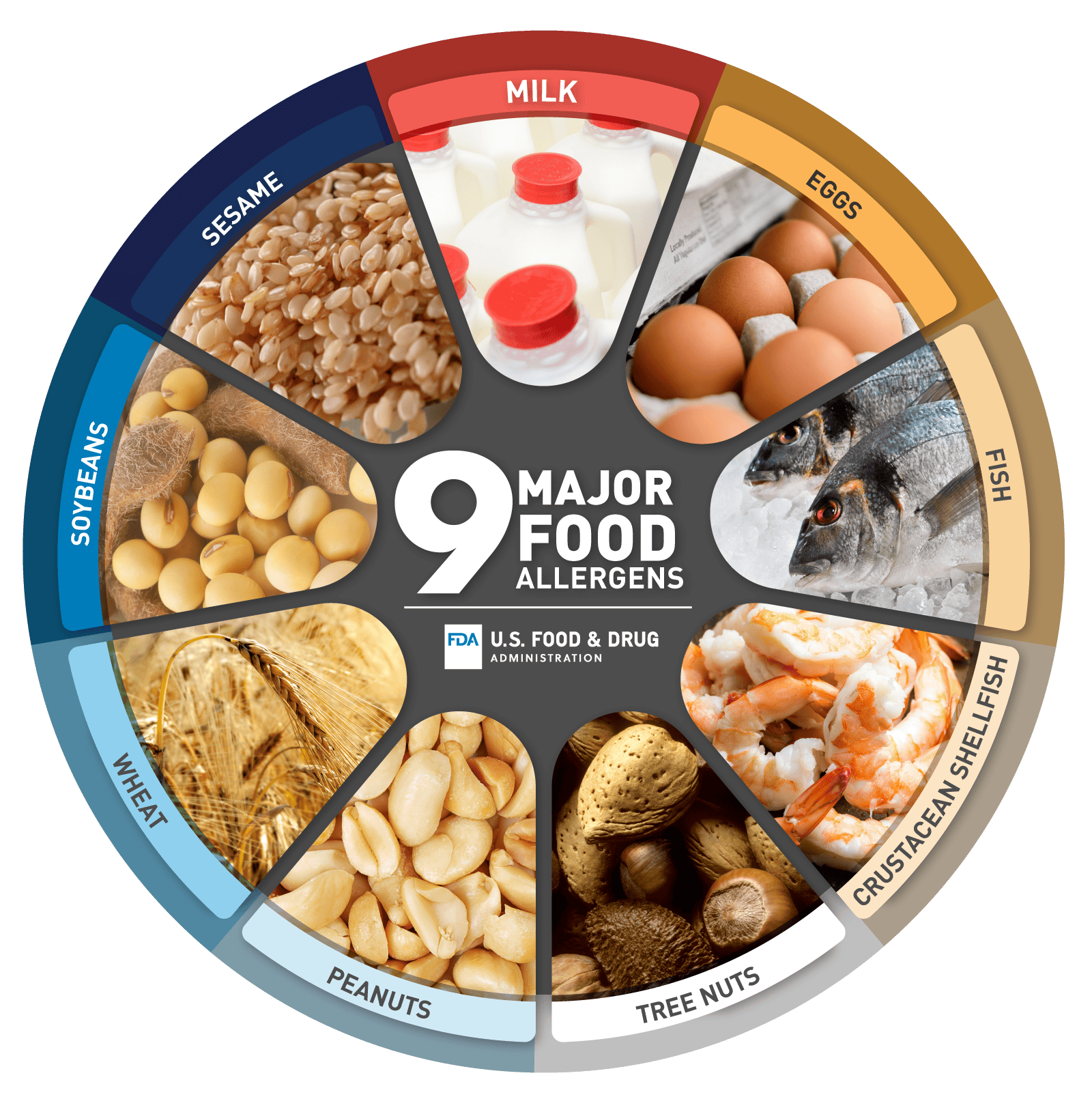 Food Allergies versus Food Sensitivities